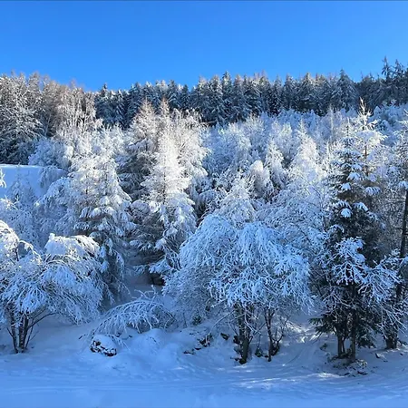 Apartment Mayens De L Ours Cz 030 - Mountain 6 Per Agettes